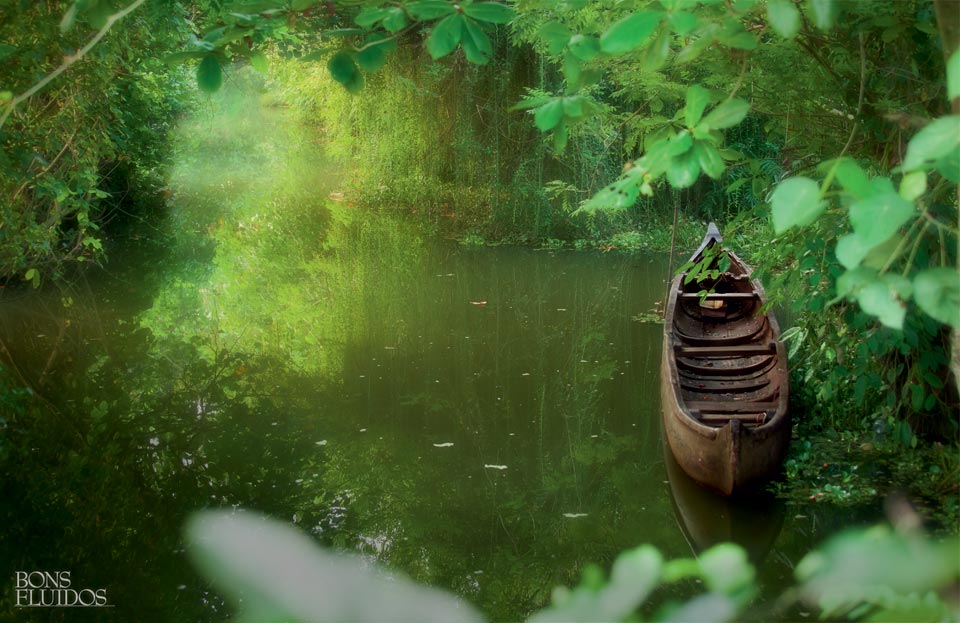 01-a-voz-do-silencio