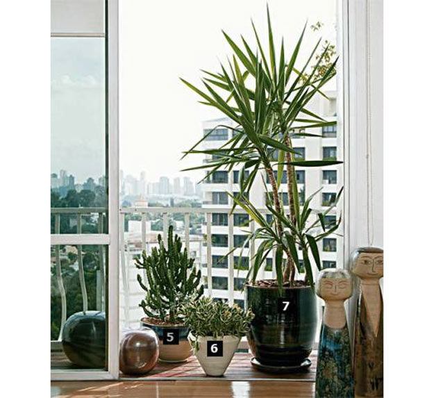 04-microjardins-para-espacos-pequenos