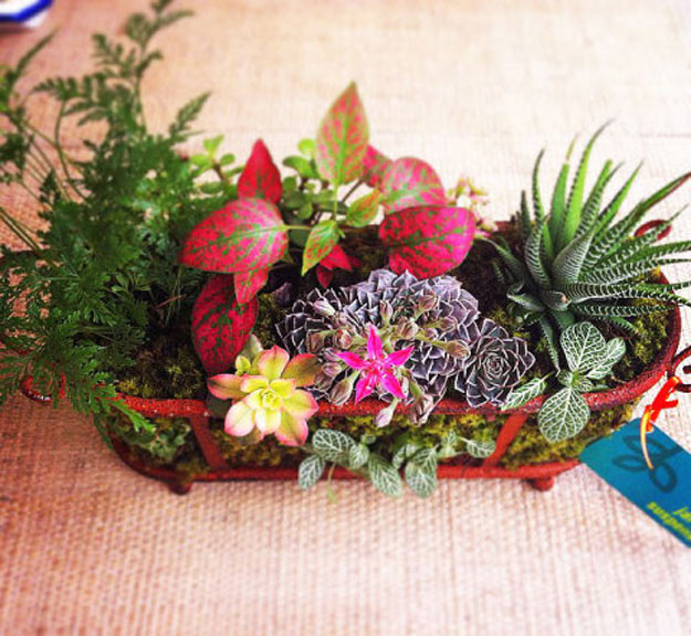 07-microjardins-para-espacos-pequenos