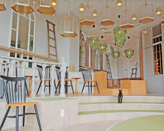 08-cafes-para-observar-animais-no-japao