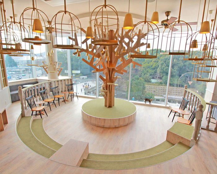 09-cafes-para-observar-animais-no-japao