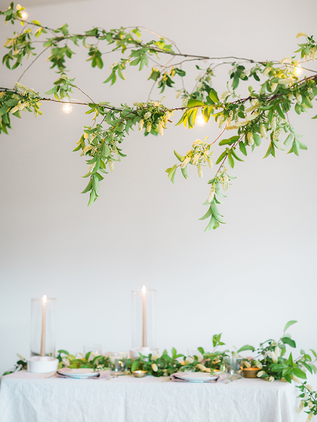 diy-string-lights-green-foliage-005