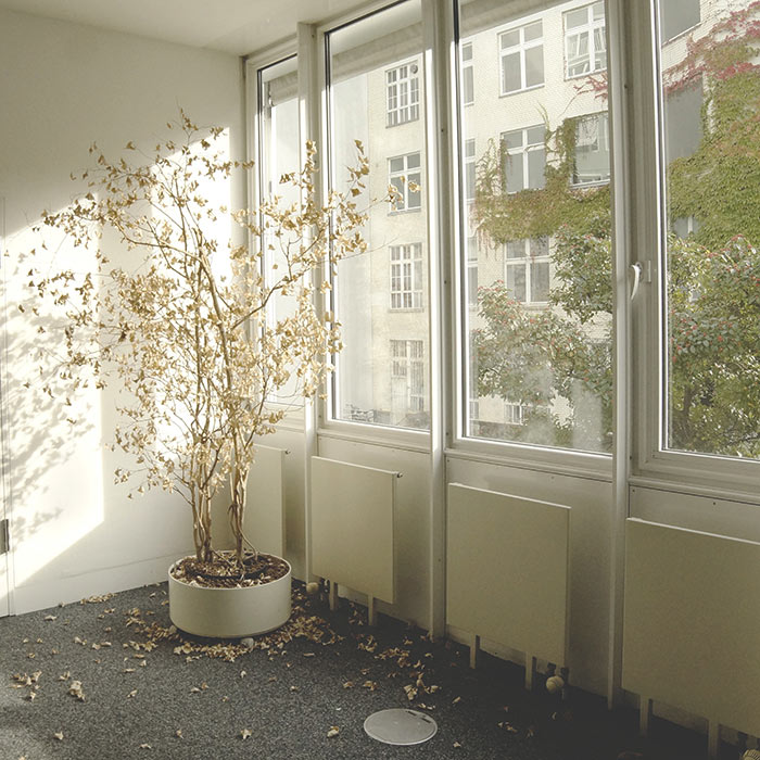 Para deixar os vidros desta janela opacos, basta apertar um botão