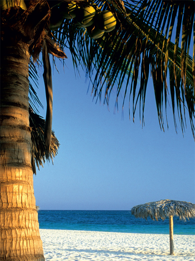 02-primavera-verao-outono-e-inverno