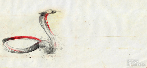 08-previsoes-para-2013-no-horoscopo-chines