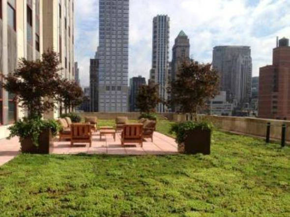 size_590_Telhado_verde_nasce_no_Empire_State_Building_em_NY