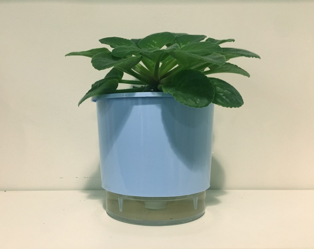 Vasos de plantas autoirrigáveis