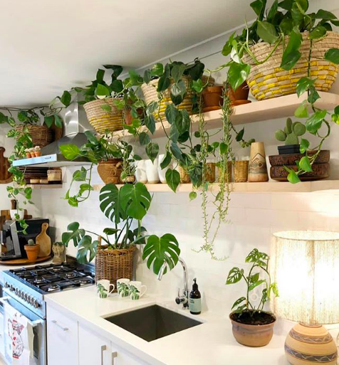 Cozinha decorada com  cachepots