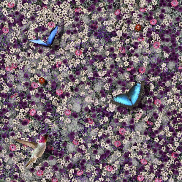 Projeto do escritório Elena Marfedini, dos EUA. Projeto do escritório Elena Marfedini, dos EUA.