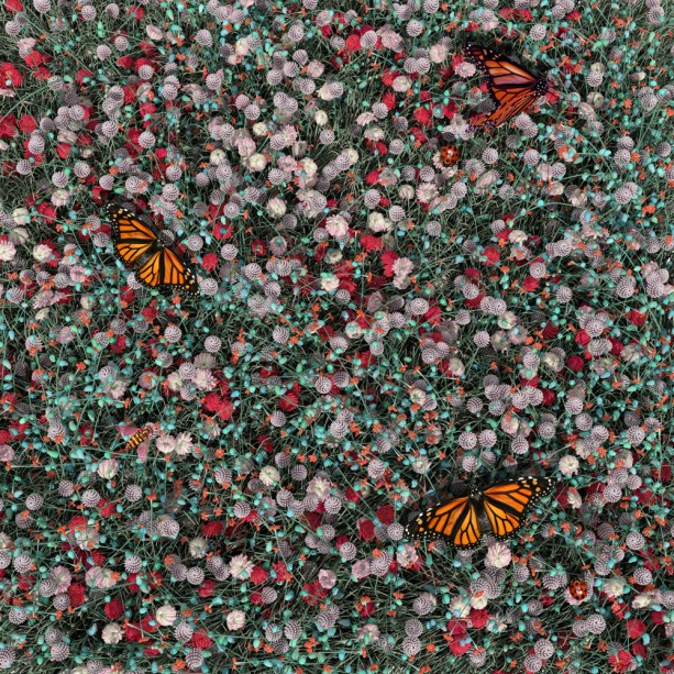 Projeto do escritório Elena Marfedini, dos EUA. Projeto do escritório Elena Marfedini, dos EUA.