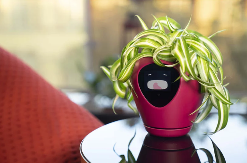 Lua: o dispositivo inteligente que transforma plantas em tamagotchis