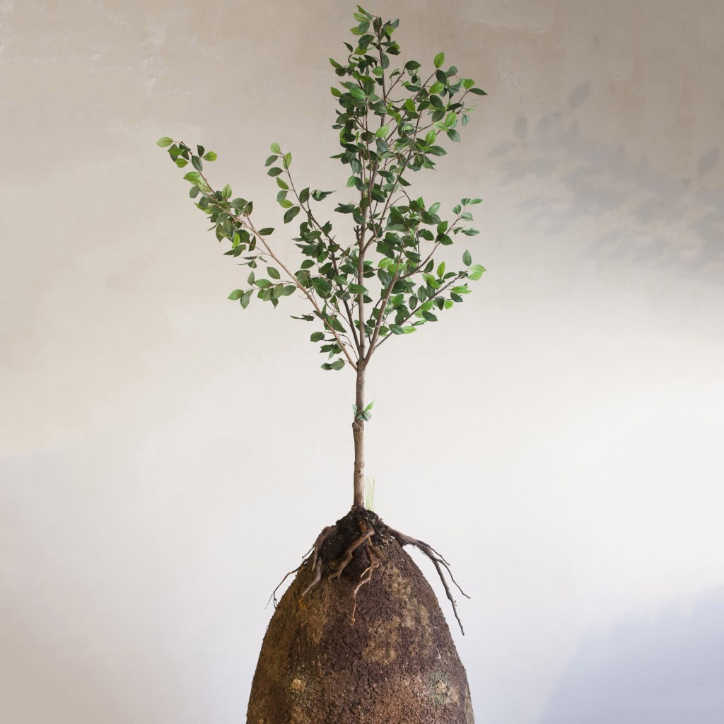 A que ponto o design pode ajudar na forma como lidamos com a morte?