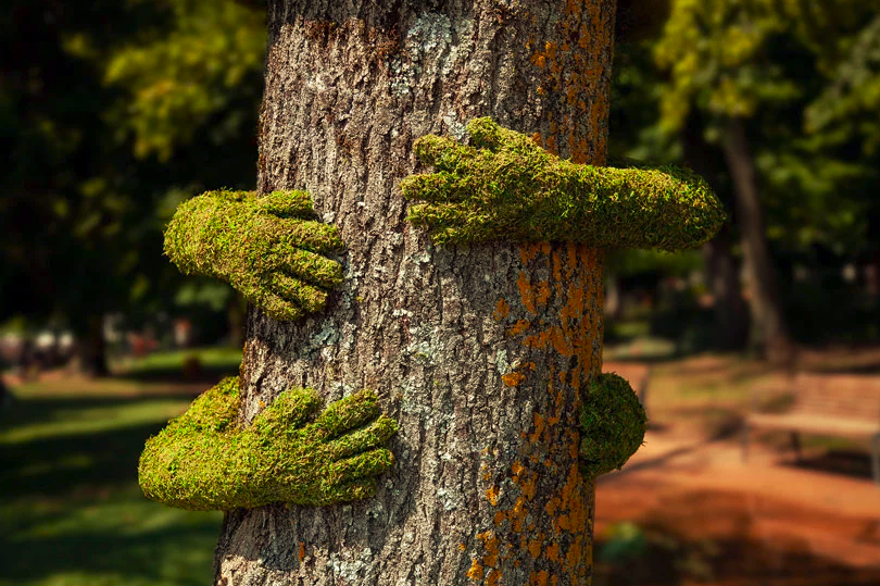 Instalação Tree Hug na França exalta o amor pela natureza