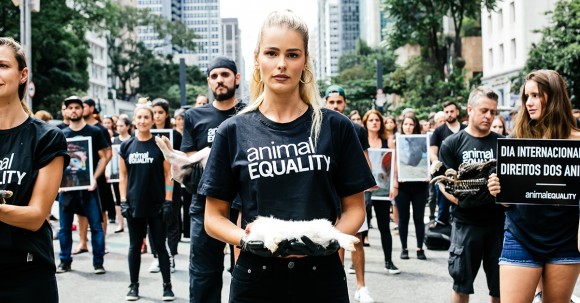 animal equality