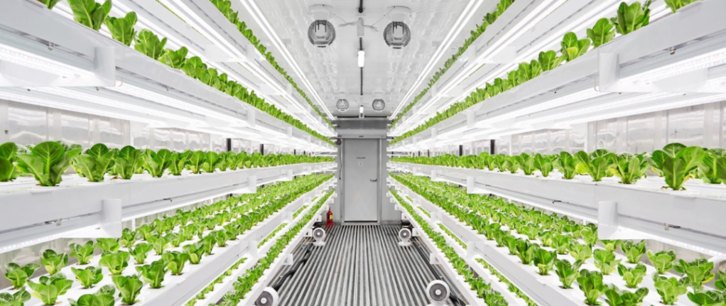 Captura de Tela 2020-01-14 às 7.56.12 PM