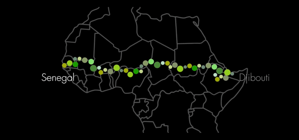 5-áfrica-ergue-maior-estrutura-viva-da-terra-uma-muralha-de-árvores