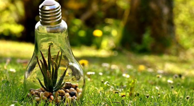 9-dicas-sustentabilidade-quarentena-10