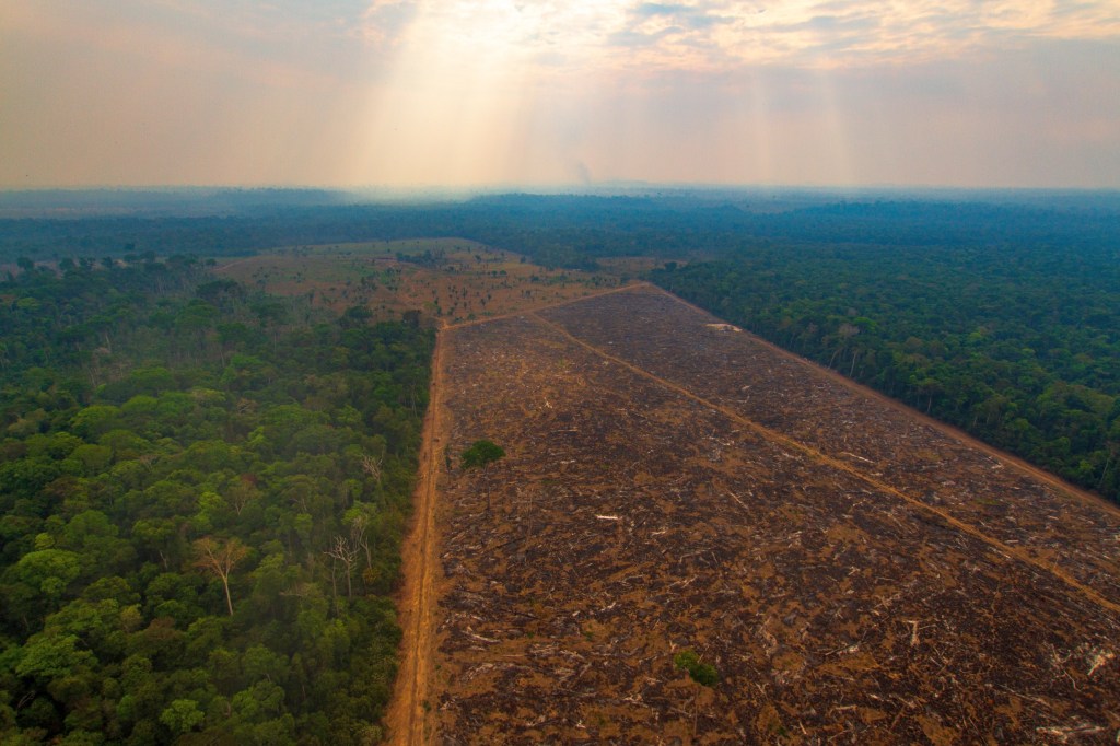 desmatamento-amazonia-1583883706