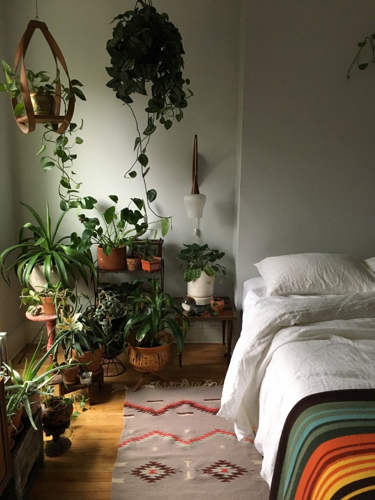 plantas-no-quarto-dicas1