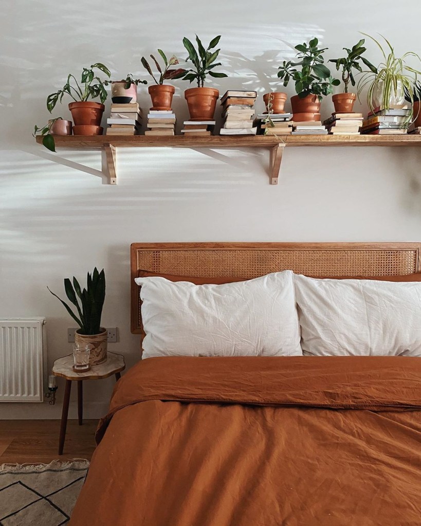 plantas-no-quarto-dicas7