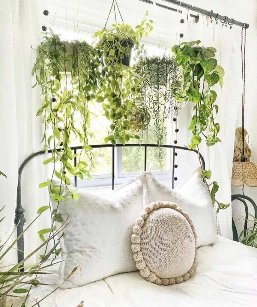 plantas-no-quarto-dicas8