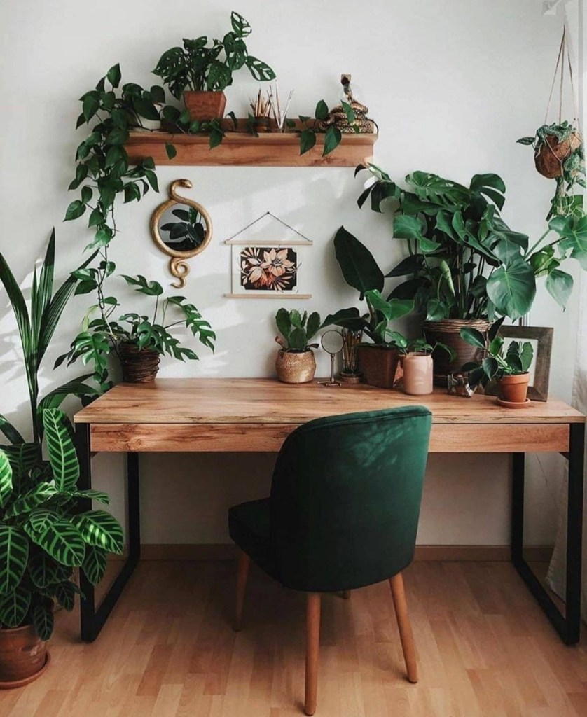 home office com plantas por todos os lados, mesa de madeira e cadeira de veludo verde