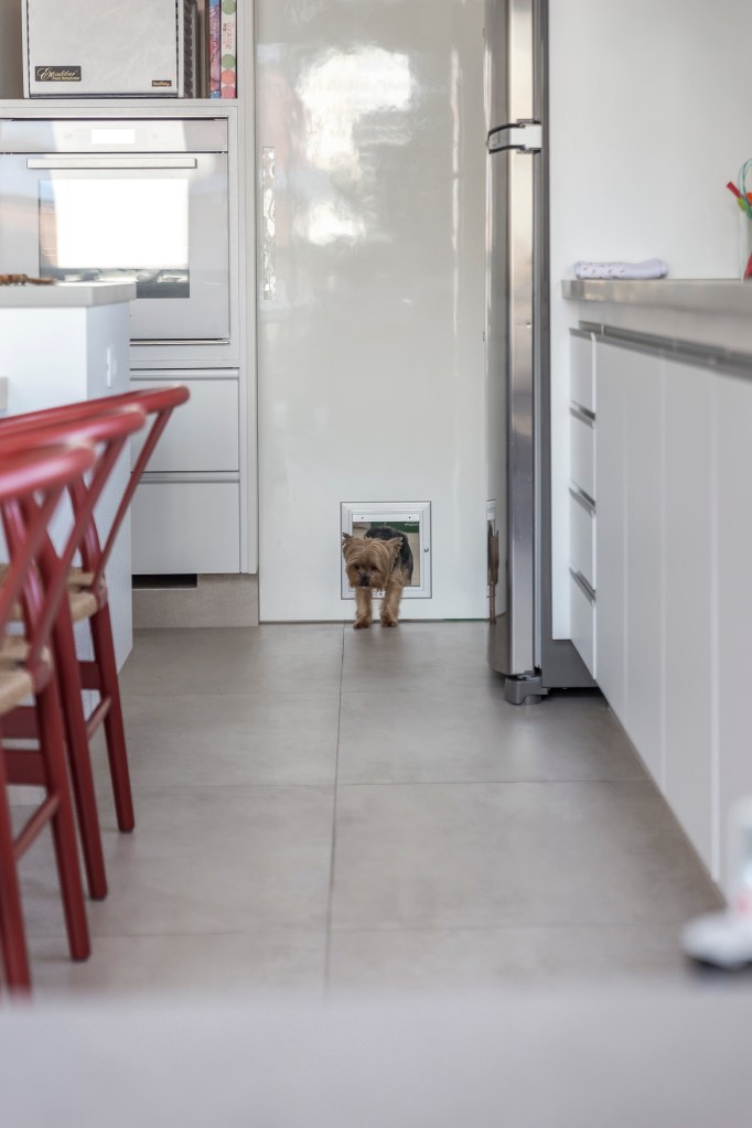 Porta branca da cozinha, com uma portinha quadrada, com um cachorro (yorkshire) passando por ela.