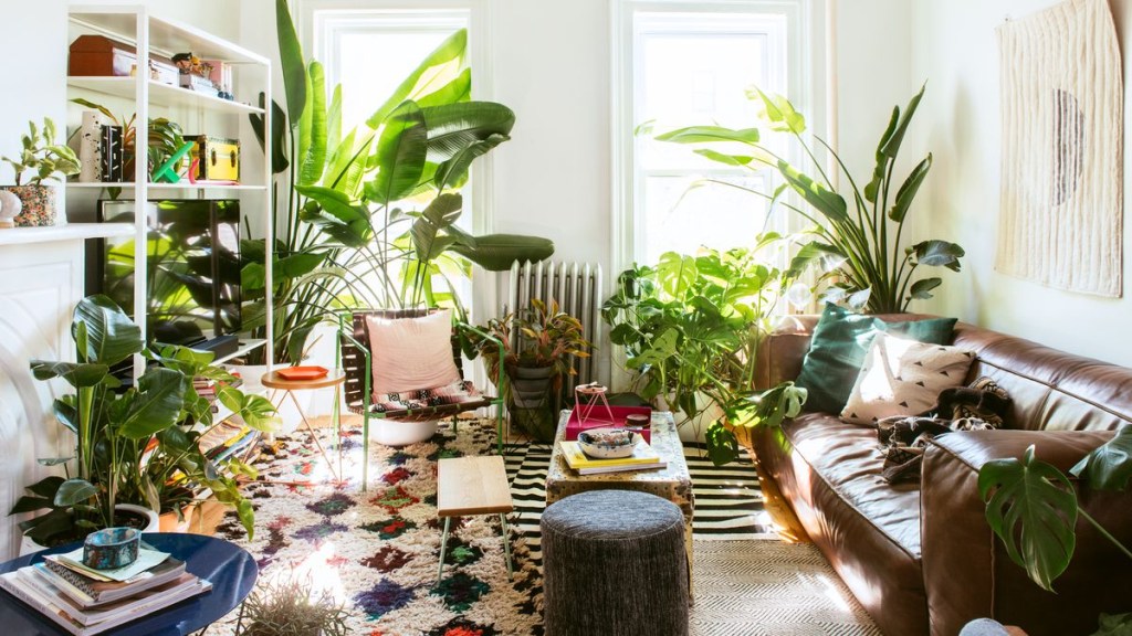 Urban jungle; sala de estar; plantas; tapete; sofá de couro; folhagem; vasos