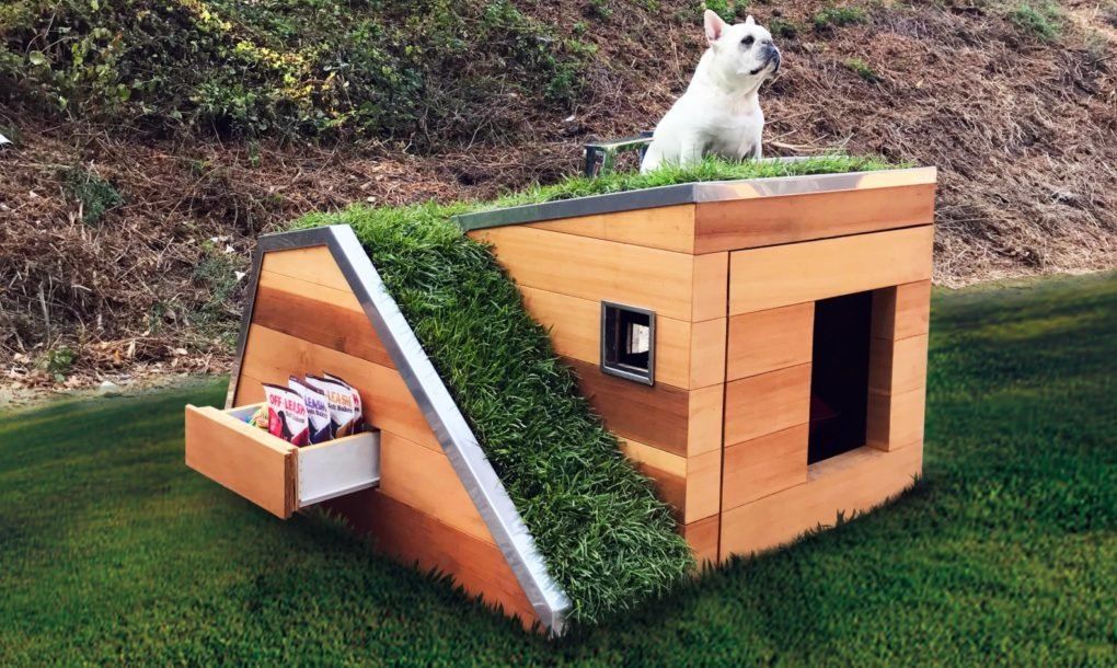 Casinha para cachorro, feita com material sustentável, com telhado verde