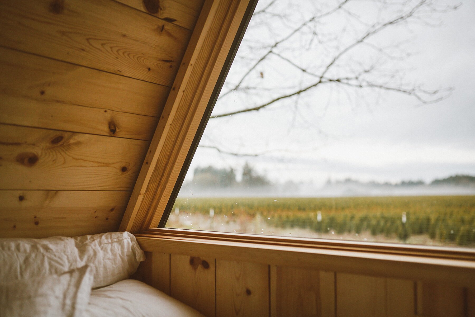 Cabana port&aacute;til e sustent&aacute;vel garante conforto nas aventuras