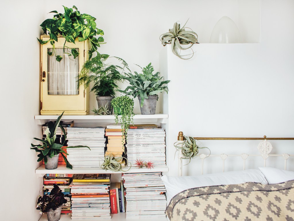 Cama com plantas na mesa lateral