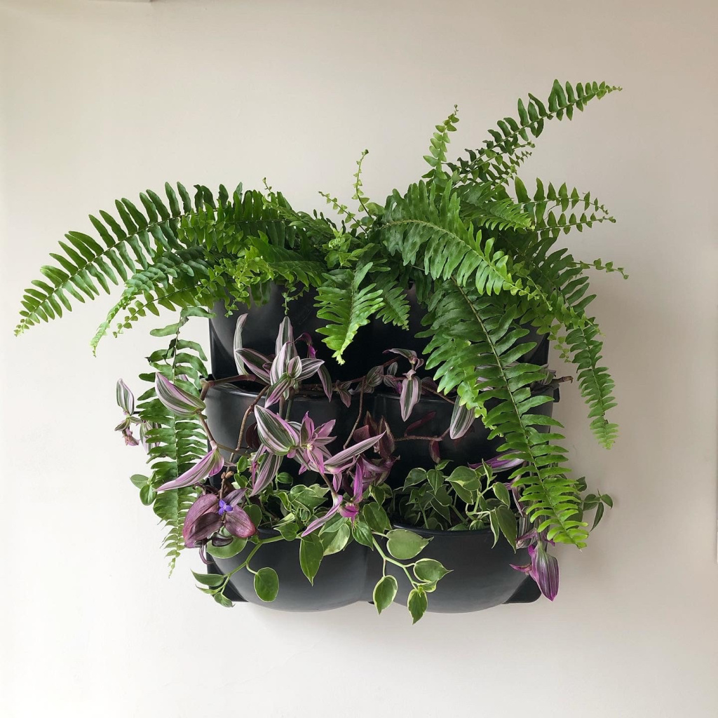 faca-voce-mesmo-jardim-vertical-passo-a-passo-casa.com-5