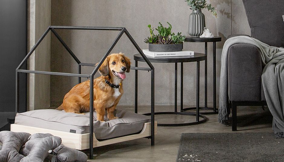 21-como-criar-um-espaco-para-o-pet-em-apartamentos-pequenos