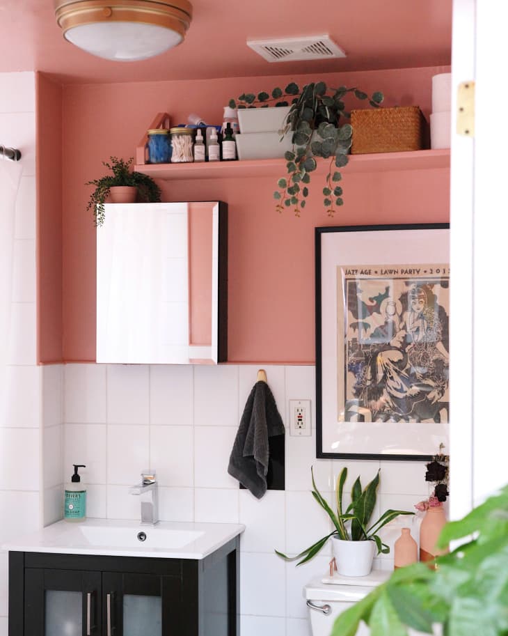 Banheiro com meia parede rosa, com prateleira alta na mesma cor, com itens de banheiro. Um quadro emoldurado e vaso de planta na caixa do vaso