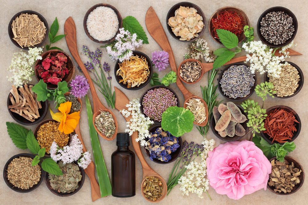 Mesa com potinhos com sementes, grãos e ervas. Flor rosa no canto inferior direito