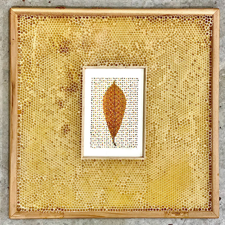 1-abelhinhas-ajudaram-a-criar-estas-obras-de-arte