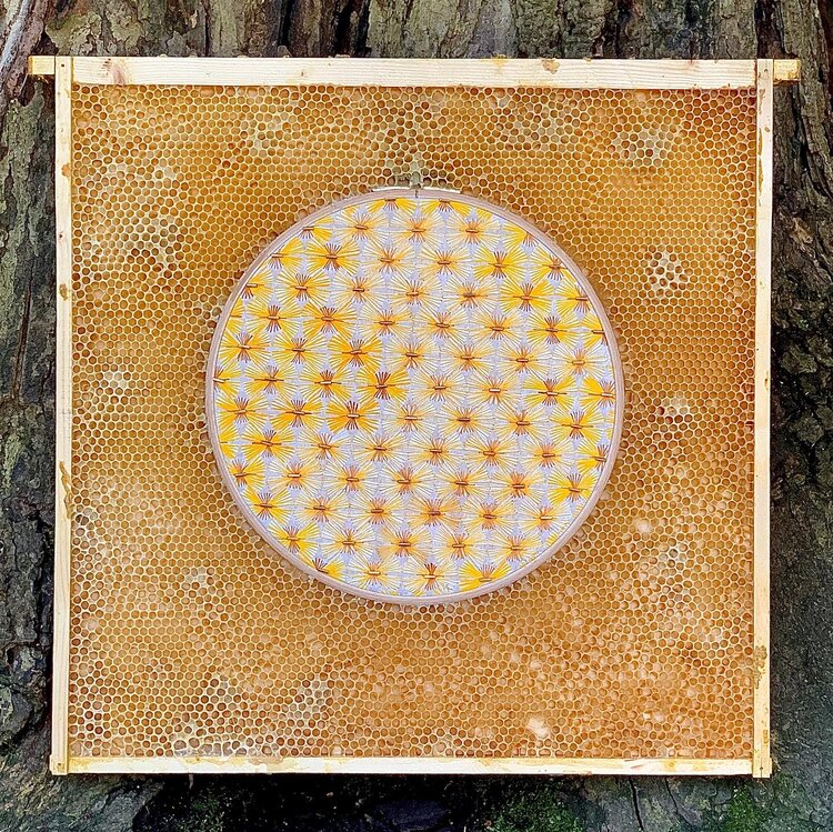 3-abelhinhas-ajudaram-a-criar-estas-obras-de-arte