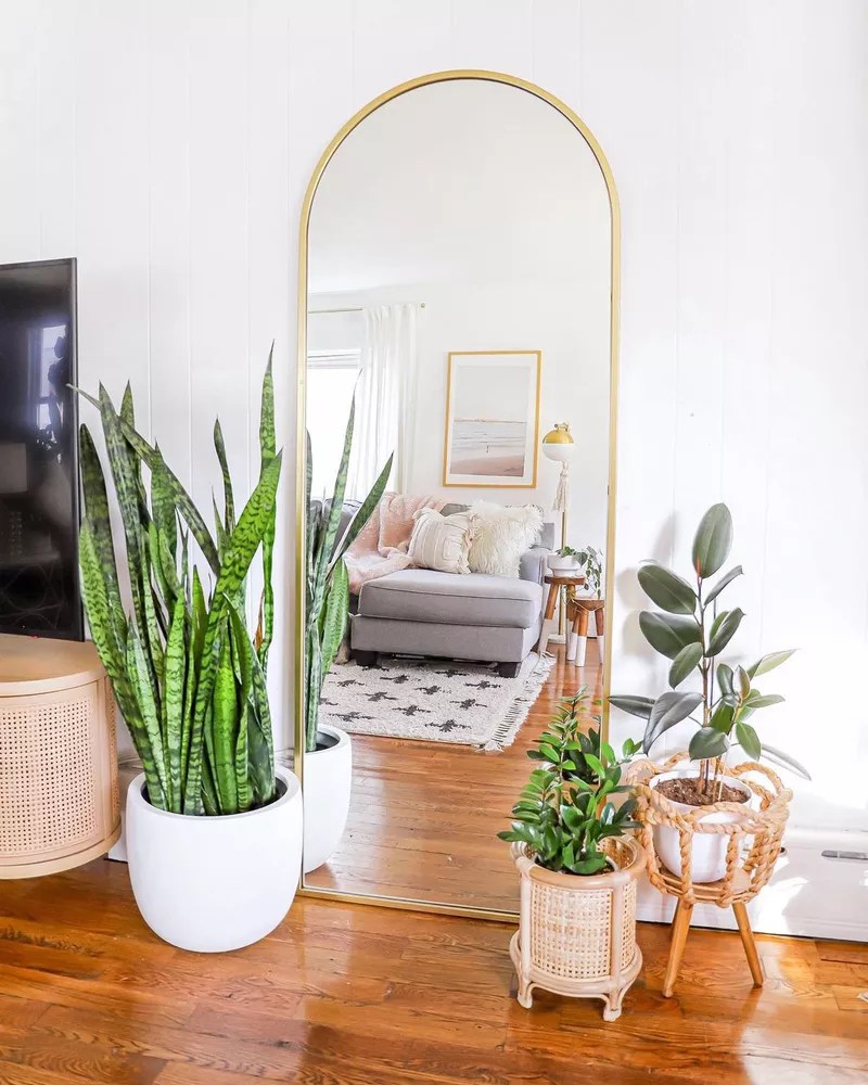 11-plantas-internas-para-quem-gosta-de-exuberancia-casacombr-mydomaine-5