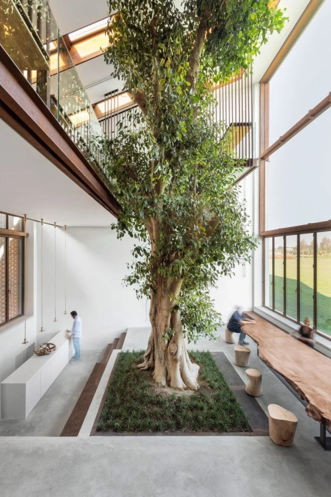Casa com árvore no interior