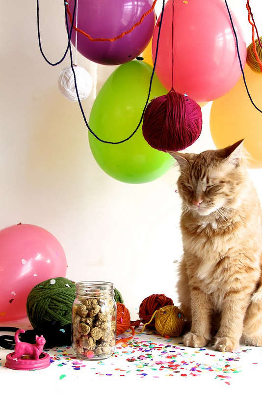 brinquedo-gato-diy-trendhunter-01