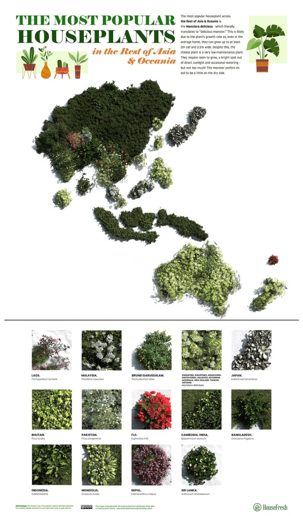 21-plantas-preferidas-de-cada-continente-casa.com-mapa-de-plantas-asia-oriental-e-oceania-ingles-house-fresh