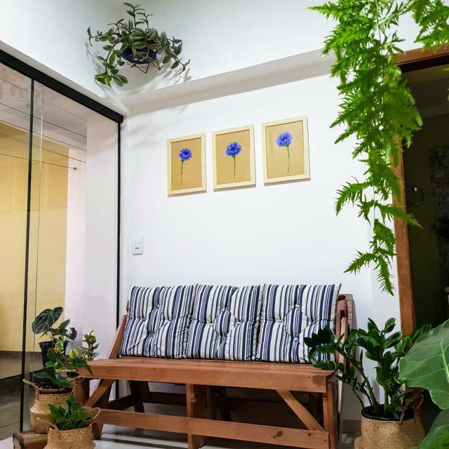 Meu cantinho: banco de madeira cercado por plantas