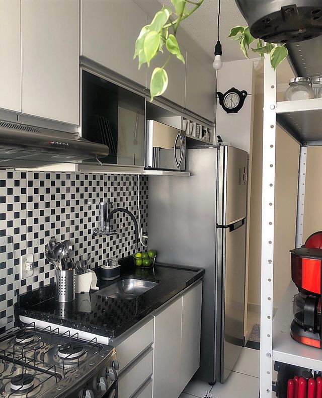 Cozinha com trepadeira
