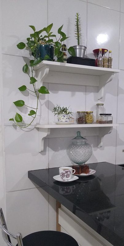Cozinha com trepadeira e cactos