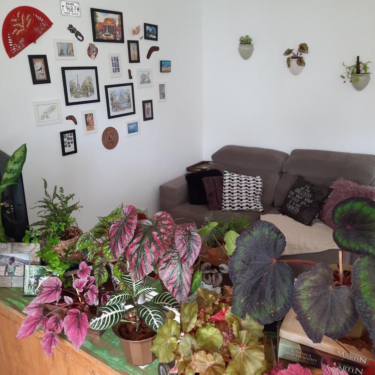 Cantinho preferido: salas de estar