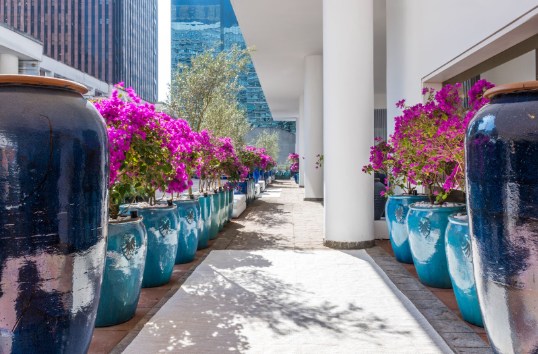 Vasos com primaveras