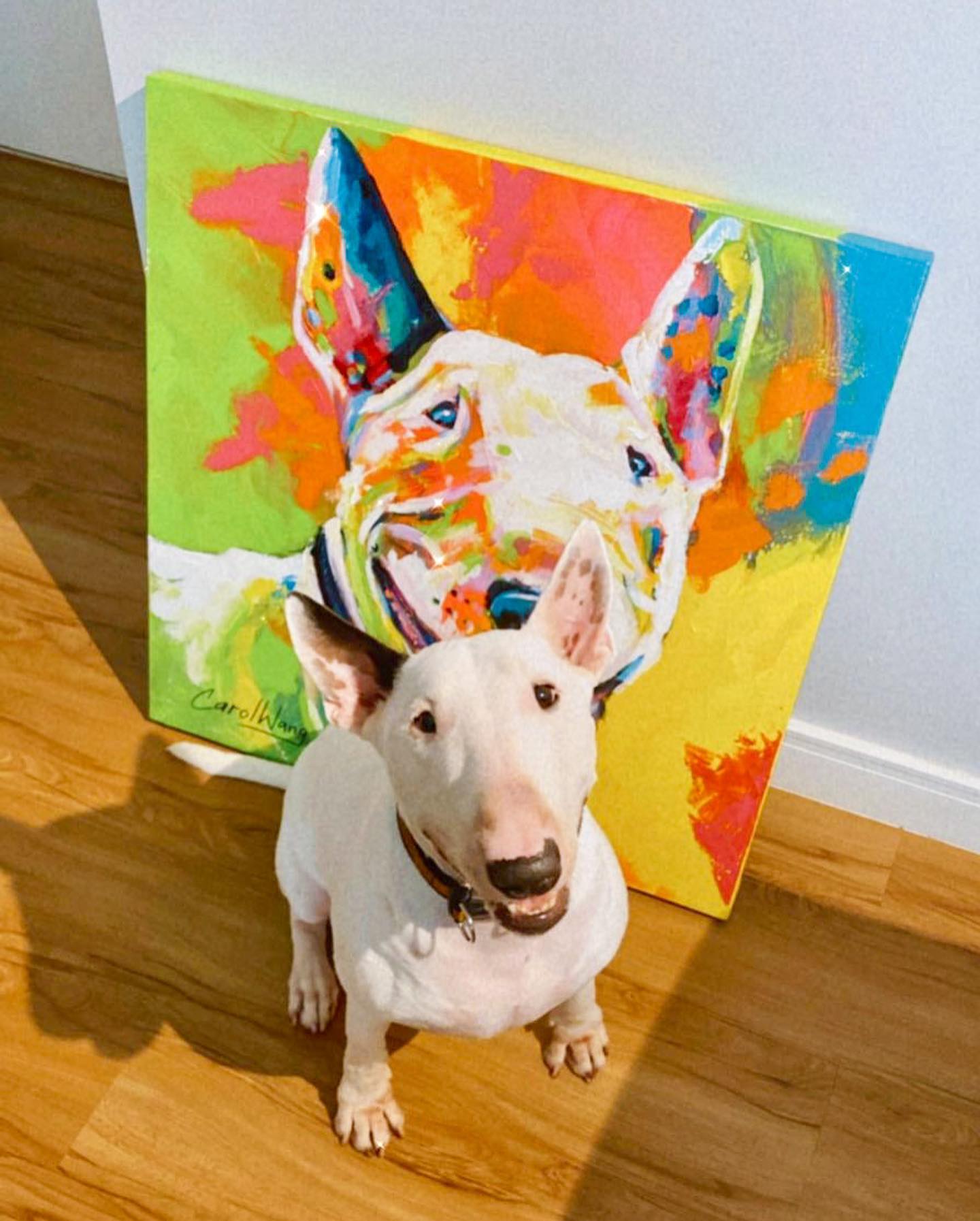 Perfil Carol Wang; arte