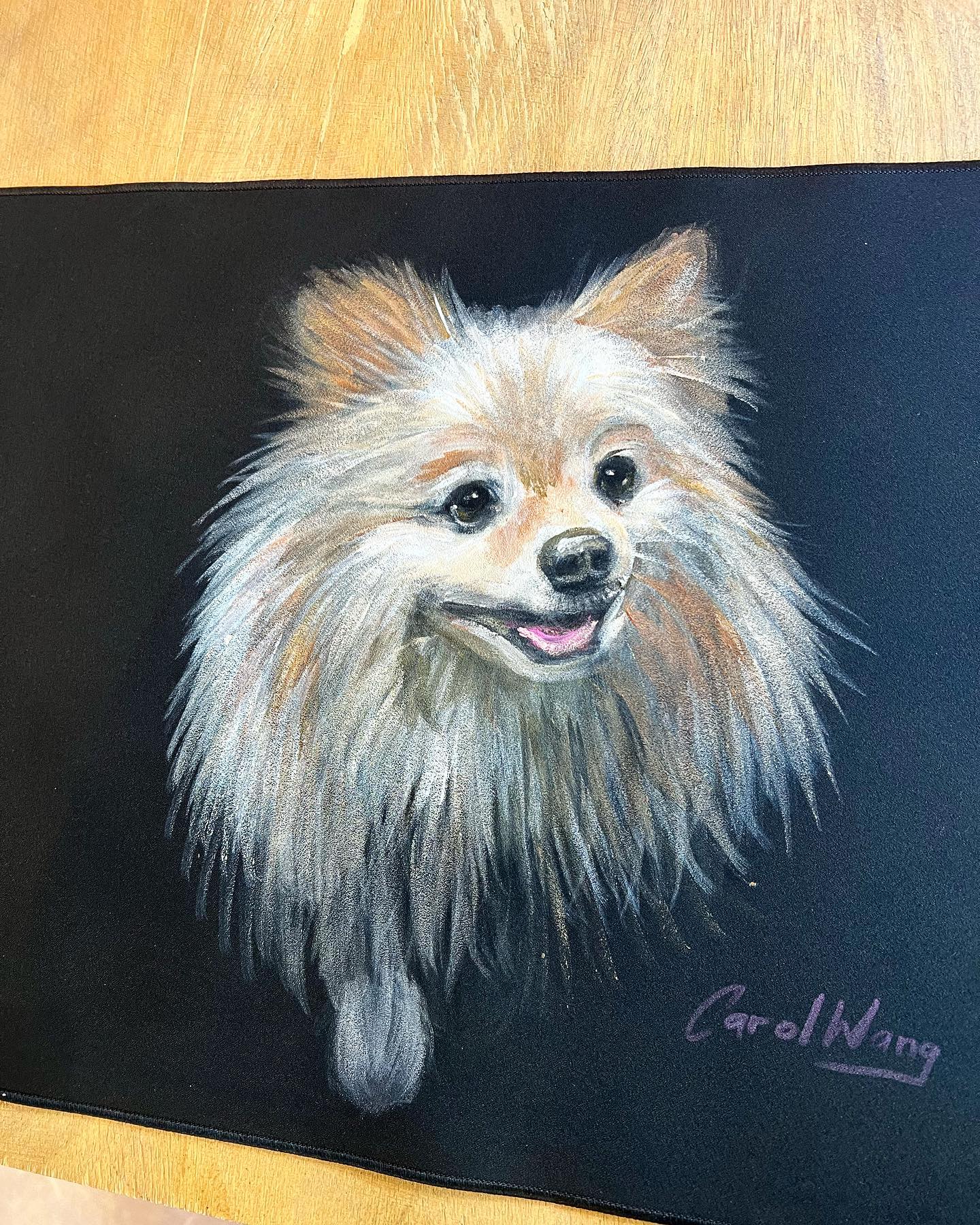 Perfil Carol Wang; arte