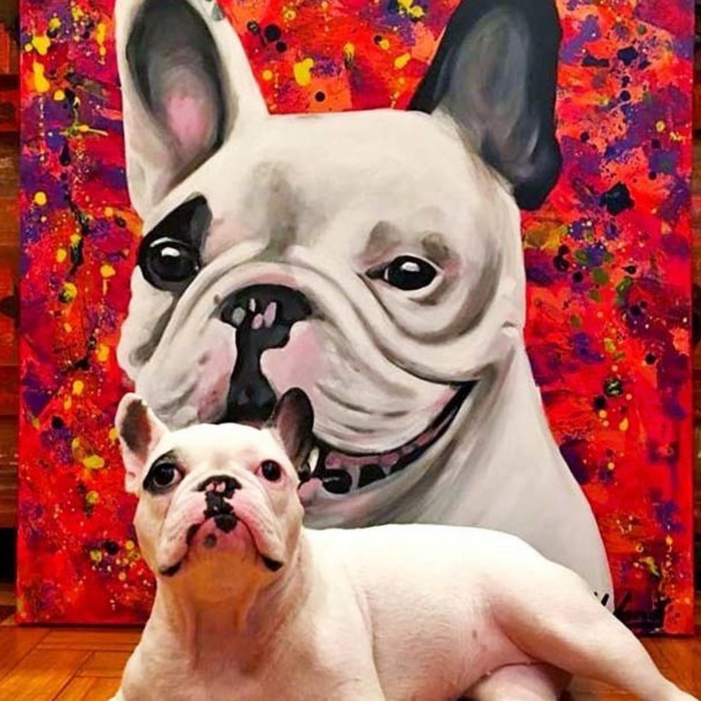 Perfil Carol Wang; arte