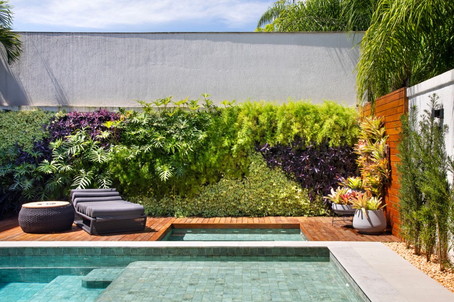 1- Setecresia, 2- Aspargo, 3 – Guaimbê, 4 - PeperômiaVasos e ripado de madeira: 5 - Bromélias variadas 1- Setecresia, 2- Aspargo, 3 – Guaimbê, 4 - PeperômiaVasos e ripado de madeira: 5 - Bromélias variadas